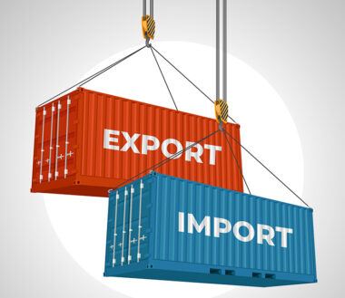 05. Export Import Info Graphic